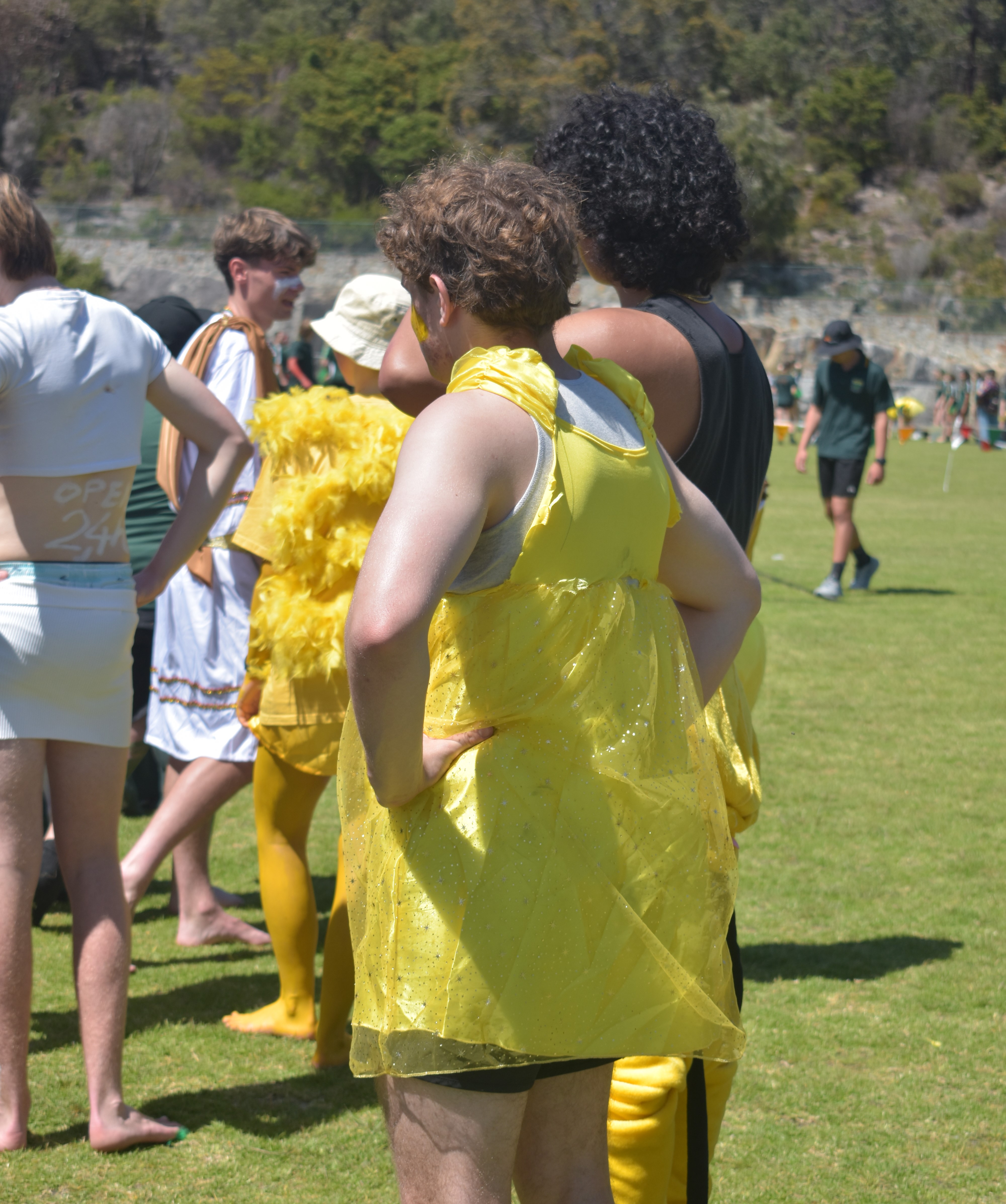 /uploaded_files/media/gallery/1730708128DSC_0038 (2).JPG